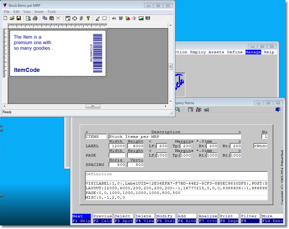 A view of VouchLabels interface in execution at design time. At the background is Vouch main window, then <Vouch Labels> module executed in a separate thread, then VouchLabels design dialog (modal).